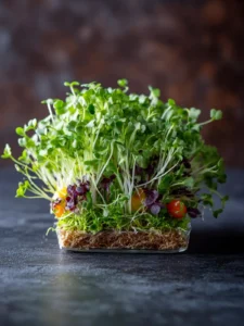 How to Grow Microgreens First Image